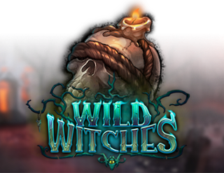 logo Wild Witches