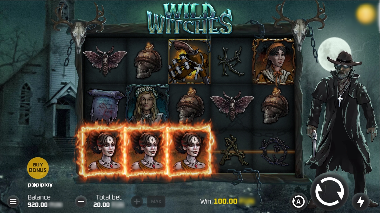 banner Wild Witches